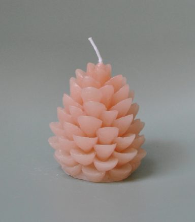 Kaars dennenappel €3,00
